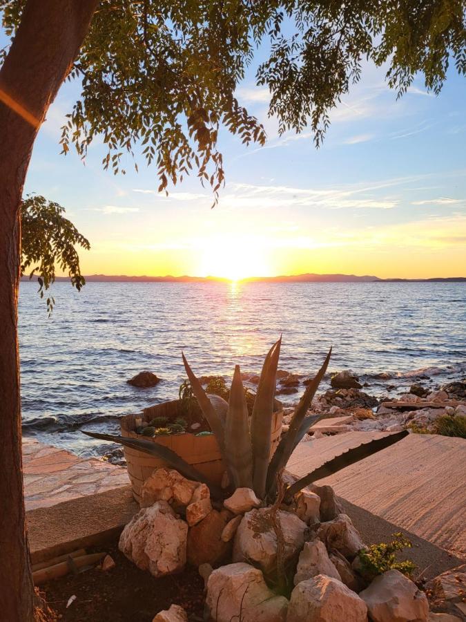 Old Fisherman'S House - Apartment Sonja Banj Bagian luar foto